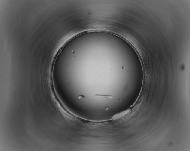 X0000100871485200806201229