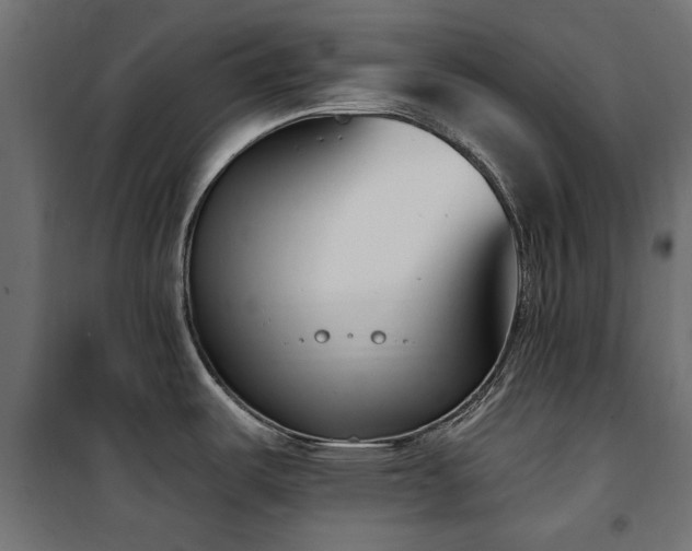 X0000100871487200806201229