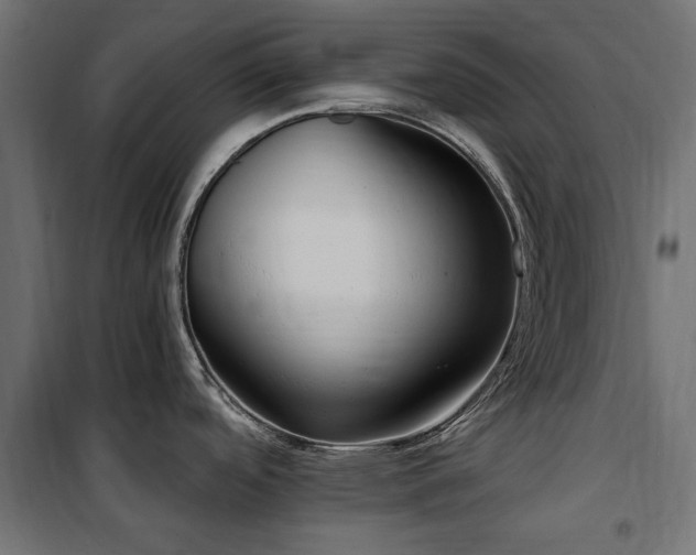 X0000100871488200806201229