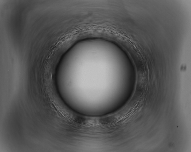 X0000100871489200806201228