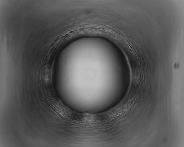 X0000100871490200806201228