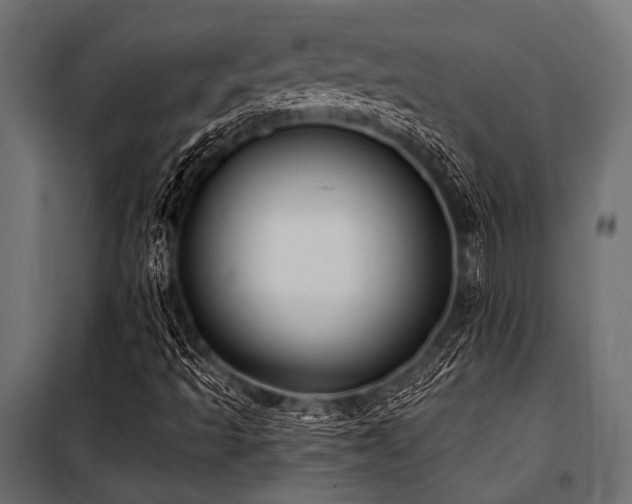 X0000100871493200806201228