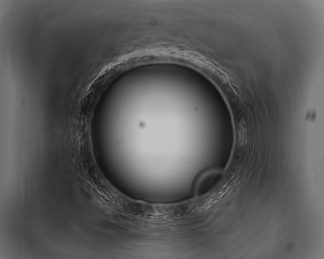 X0000100871494200806201228