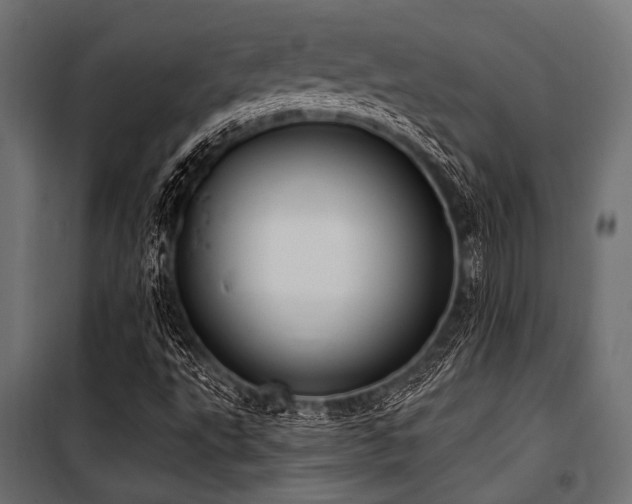 X0000100871495200806201228
