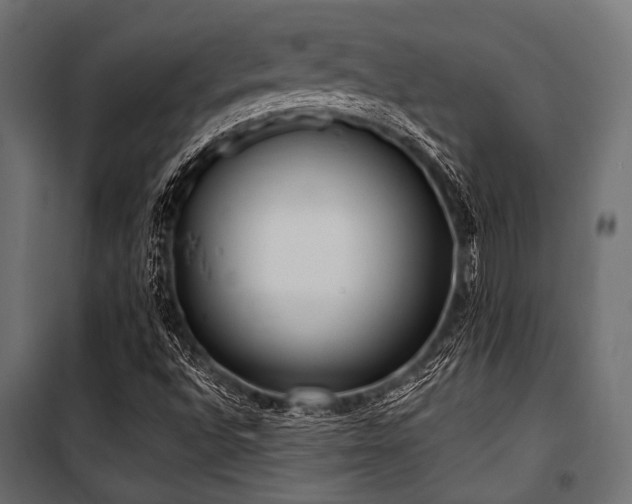 X0000100871496200806201228