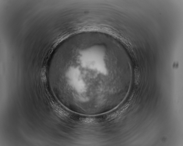X0000100871497200806201228