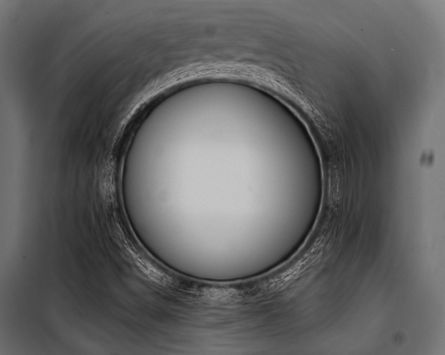 X0000100871498200806201228