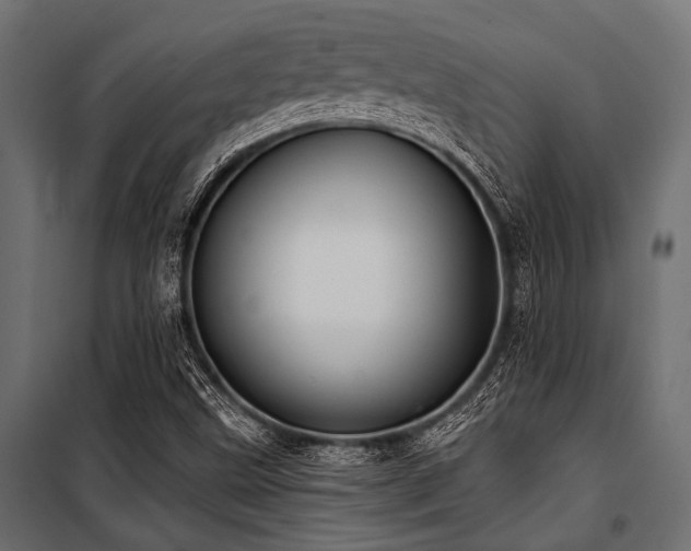 X0000100871499200806201228