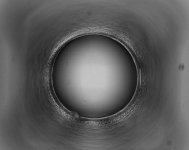 X0000100871500200806201228