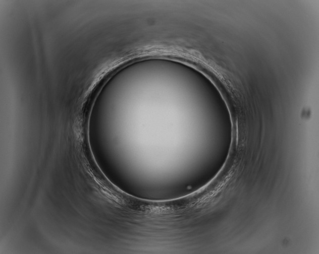 X0000100871501200806201228
