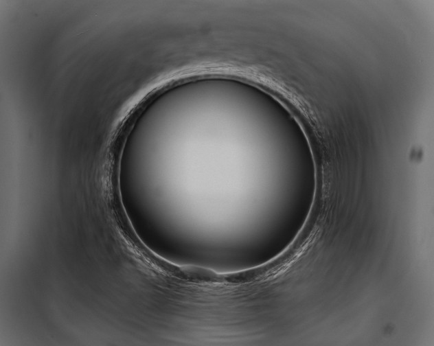 X0000100871502200806201228