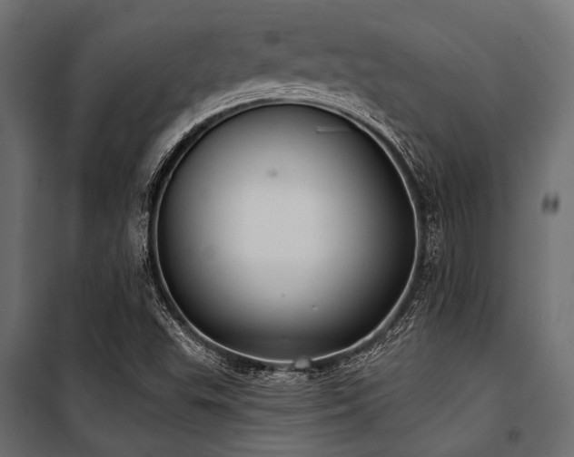X0000100871503200806201228