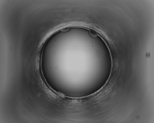 X0000100871504200806201228
