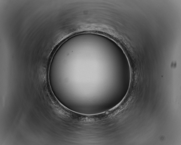 X0000100871505200806201228