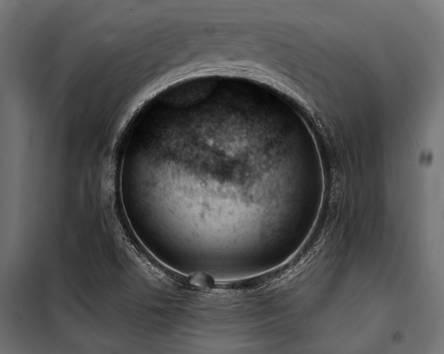 X0000100871506200806201228