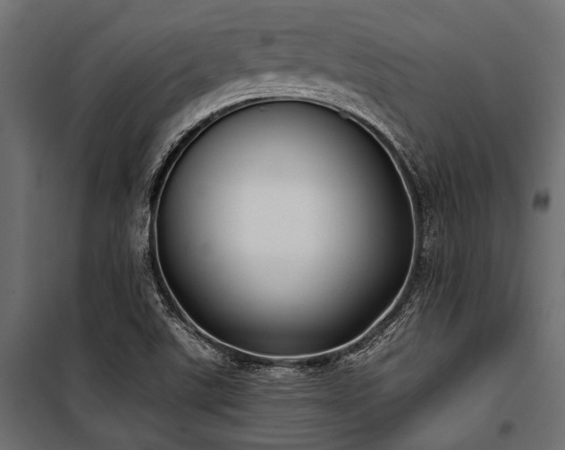 X0000100871507200806201228
