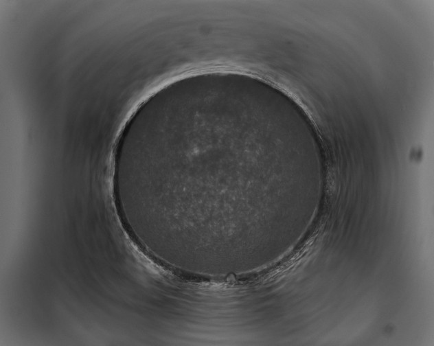 X0000100871508200806201228
