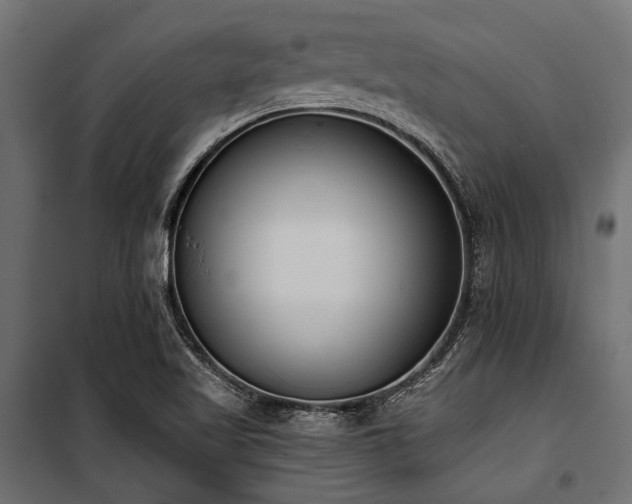 X0000100871509200806201228