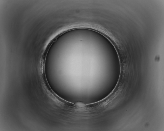 X0000100871510200806201228