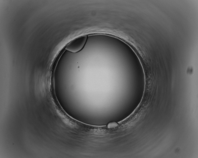 X0000100871511200806201228