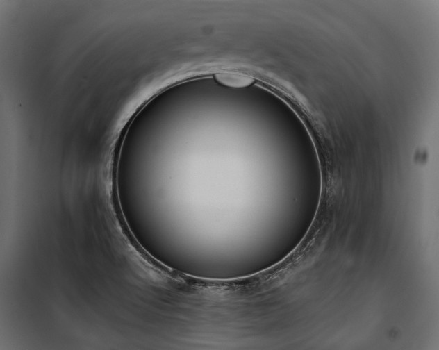 X0000100871512200806201228