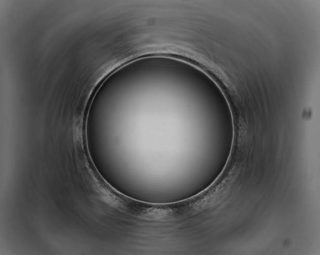 X0000100871513200806201228