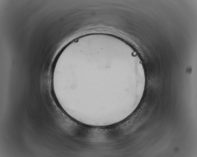 X0000100871514200806201228