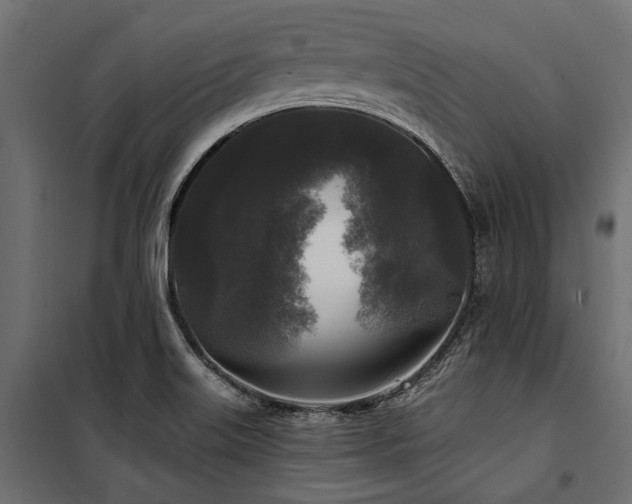 X0000100871515200806201228