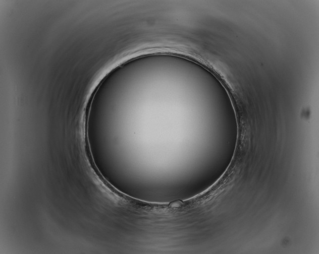 X0000100871516200806201228