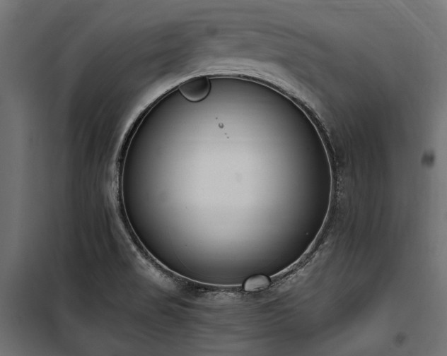 X0000100871517200806201228