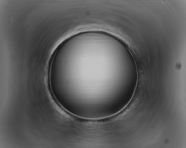X0000100871518200806201228