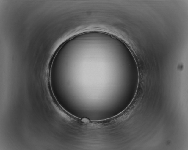 X0000100871519200806201228