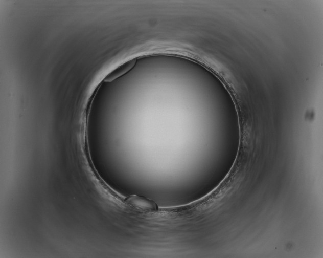 X0000100871520200806201228