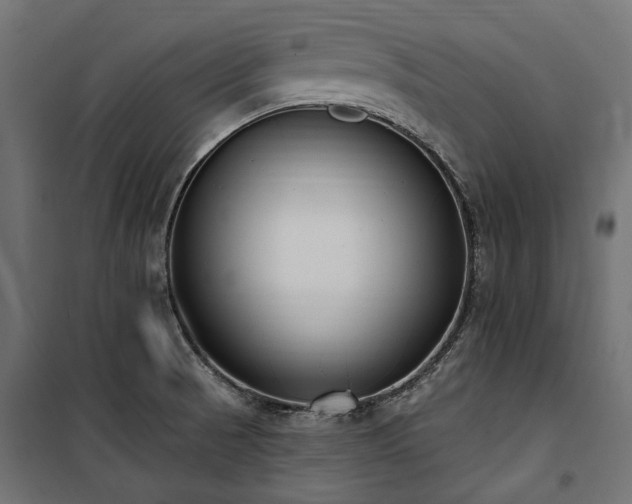 X0000100871521200806201228