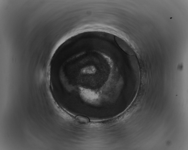 X0000100871522200806201228