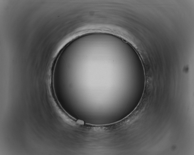 X0000100871523200806201228