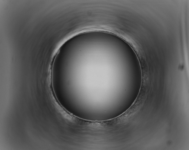 X0000100871524200806201228