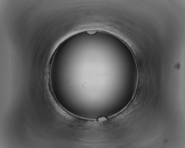 X0000100871526200806201228