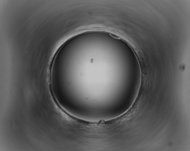 X0000100871527200806201228