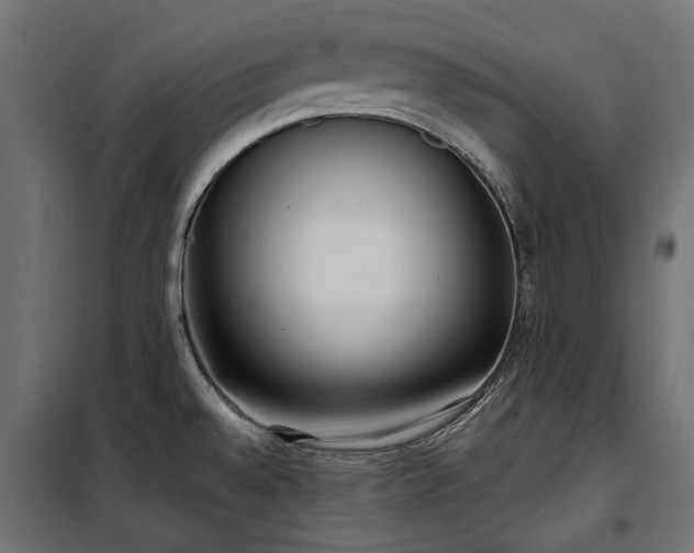 X0000100871528200806201228