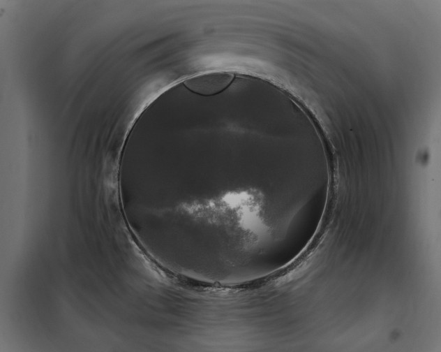 X0000100871529200806201228
