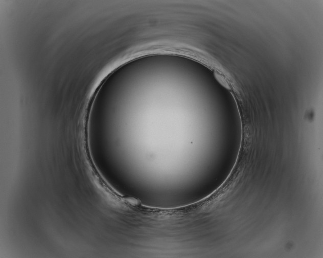 X0000100871530200806201228
