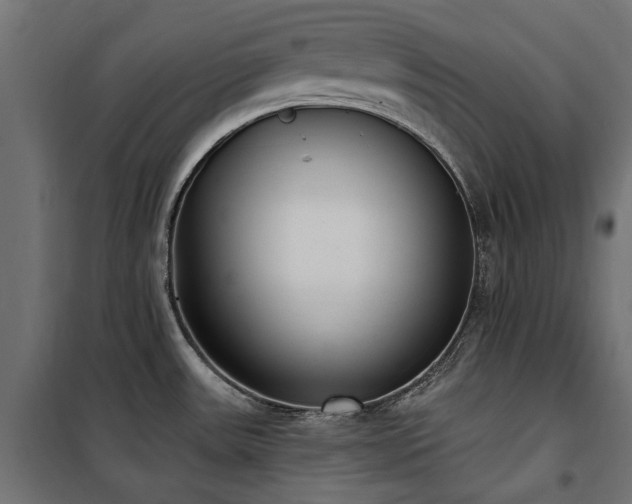 X0000100871531200806201228