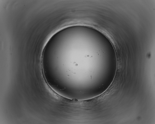 X0000100871532200806201228