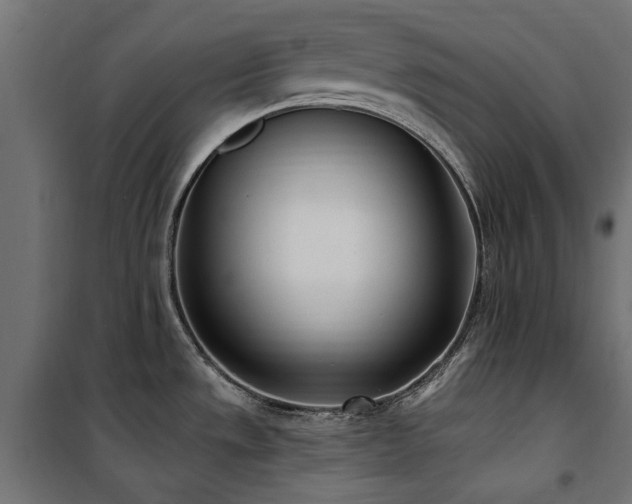 X0000100871533200806201228