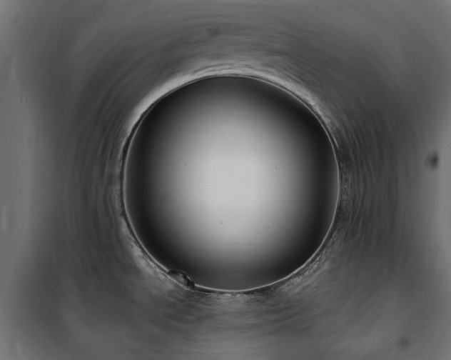 X0000100871534200806201228