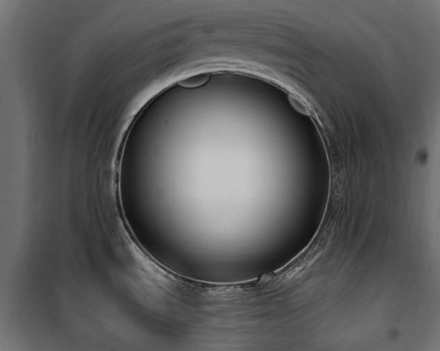 X0000100871535200806201229
