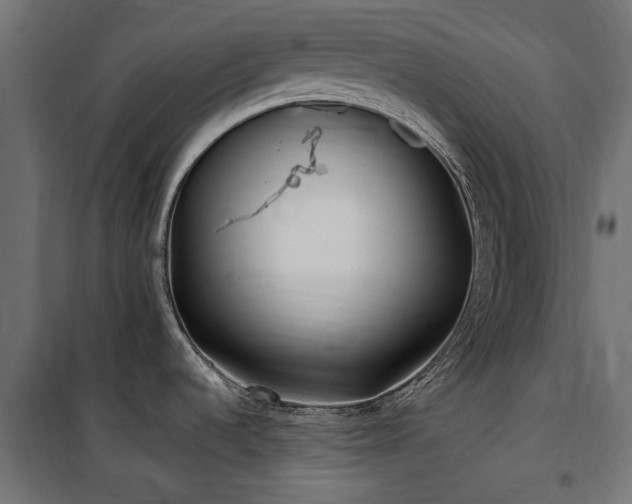X0000100871536200806201229