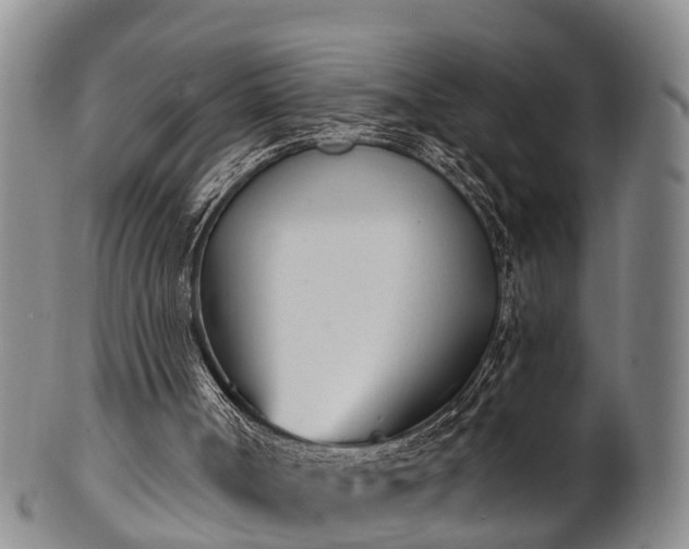 X0000100870002200806271124