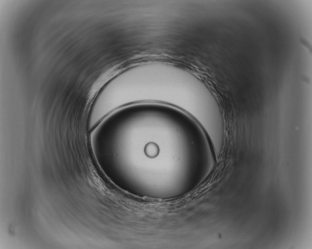 X0000100870004200806271124